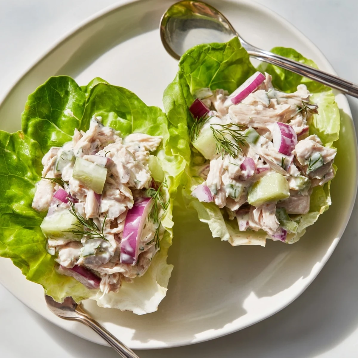 Freshly prepared Dill Pickle Chicken Salad Lettuce Cups, with tender shredded chicken, crisp dill pickles, and fresh herbs nestled in buttery lettuce leaves.